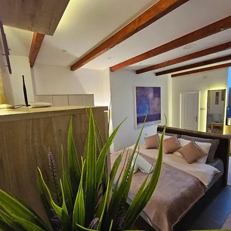 Mudrinic Apartment *